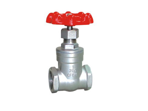 ����˿��բ��