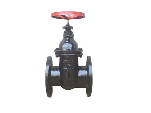 բ������