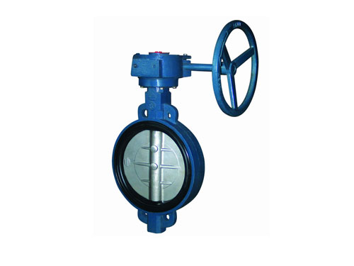 �Լ����ֵ���